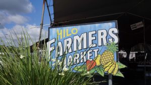 Hilo Farmer's Market